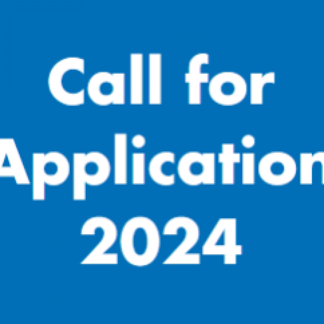 Apply for the 2024 UN OHCHR Minorities Fellowship Program! Minority