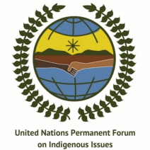 2024 United Nations Forum on Indigenous Issues Convenes in New York