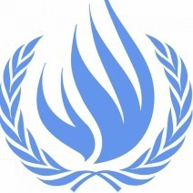 Call for Input on the Contribution of the UN to the Full Realization of the UNDM