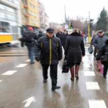 Council of Europe Assesses Minority Rights in Bulgaria and Montenegro