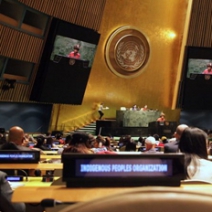 UN Permanent Forum on Indigenous Issues 2023