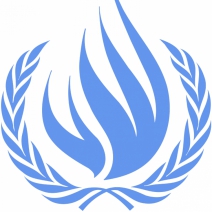 UN Special Rapporteur on Minority Issues Presents Report to General Assembly